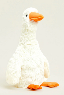 GOOSE 154