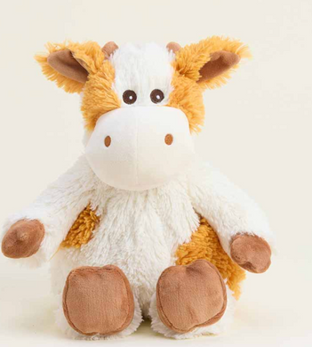 BROWN AND WHITE COW 187